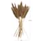 Dried Plant Bamboo Natural Foliage with Long Stems